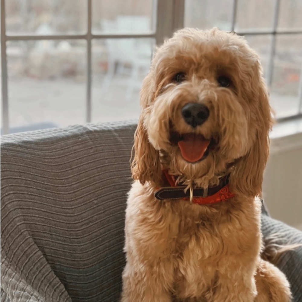 Meet your Posher, Marissa